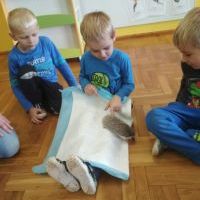 Dzieci z jeżami (3)