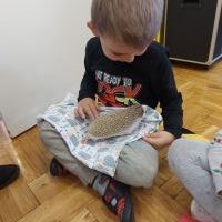 Dzieci z jeżami (8)