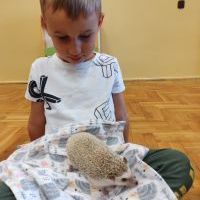 Dzieci z jeżami (3)