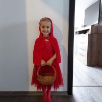 Dzieci przebrane za bohaterów bajek (6)