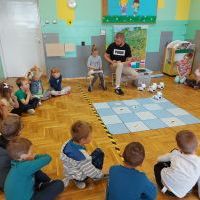 Biedronki (6)