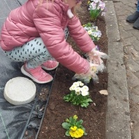 Marcowe sadzenie kwiatów (2)